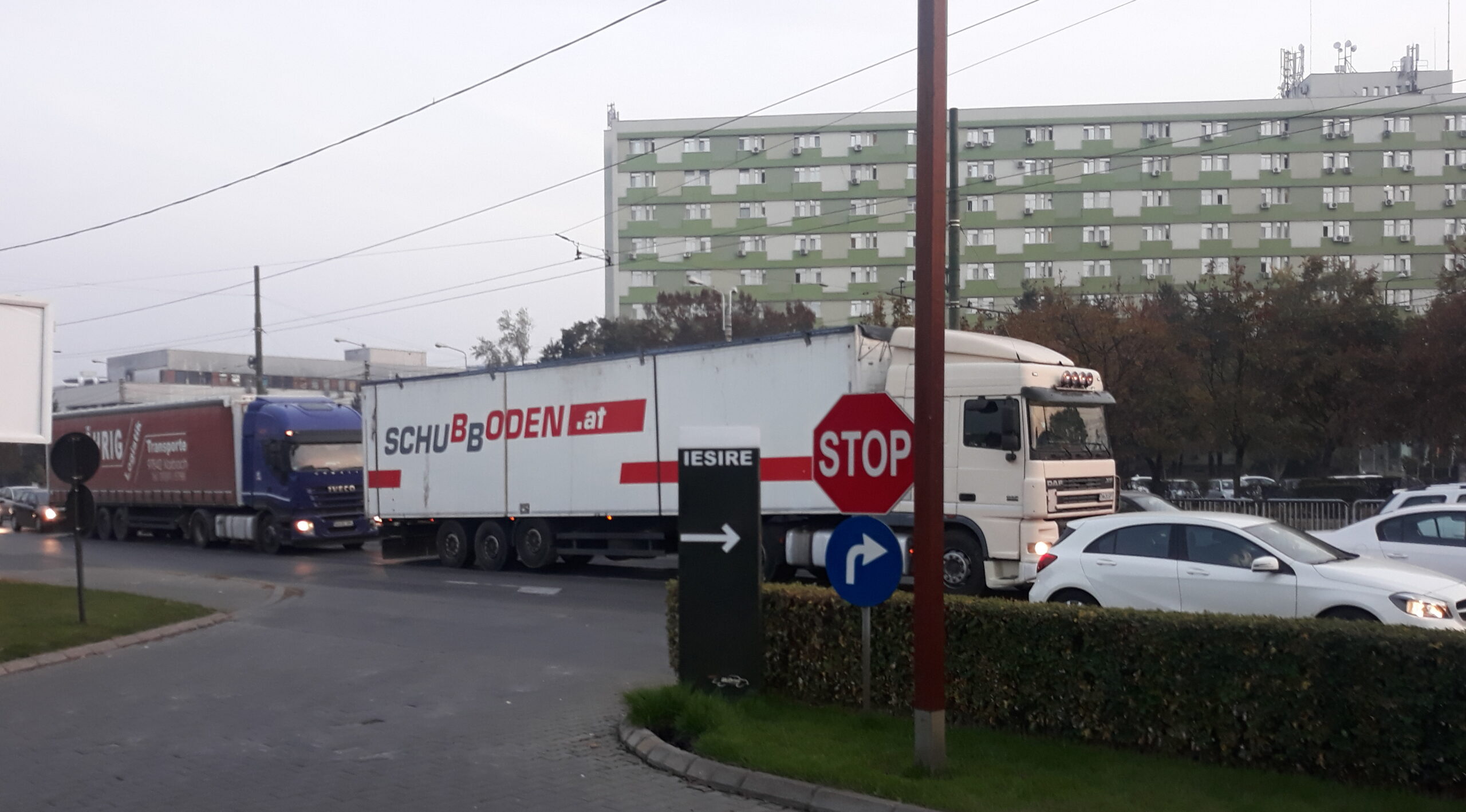 Timișoara, poluată masiv din lipsa unei centuri ocolitoare. Sute de porci traversează orașul, duși la abator în mașini de mare tonaj