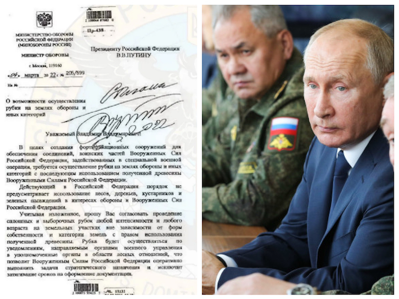 Putin și Șoigu au ordonat „tăierea totală” a pădurilor și parcurilor din Ucraina, pentru a finanța astfel armata rusă invadatoare