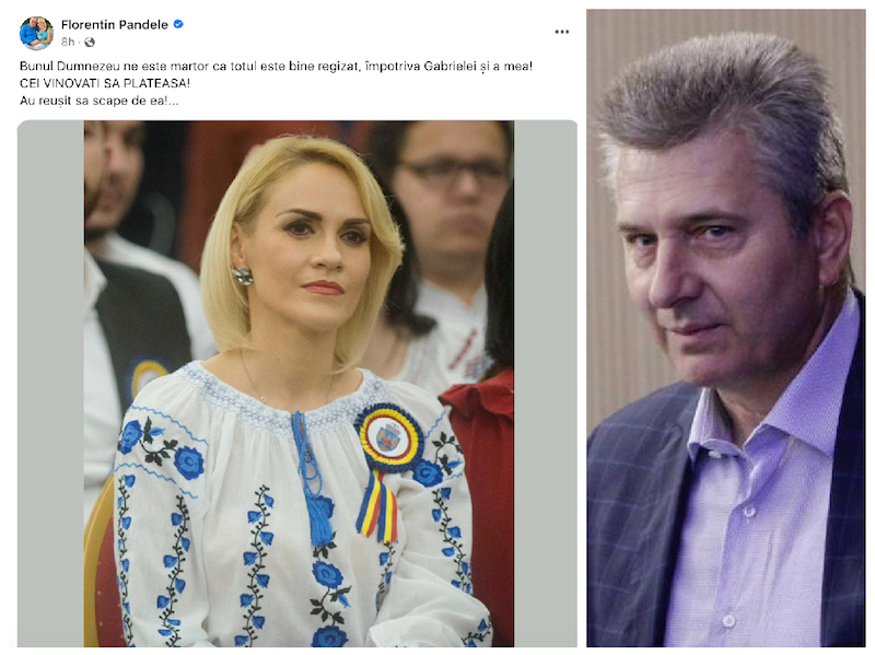 Frustrare în clanul din Voluntari. Pandele: „Totul este bine regizat împotriva Gabrielei și a mea! Au reușit să scape de ea!…”
