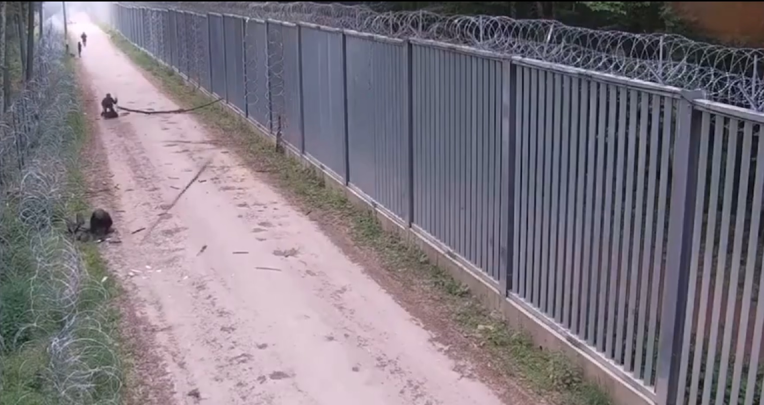 VIDEO. Migranți agresivi, aduși de ruși și bieloruși la frontieră, au înjunghiat mortal un grănicer polonez. Presiunea celor care vor să intre în Europa crește