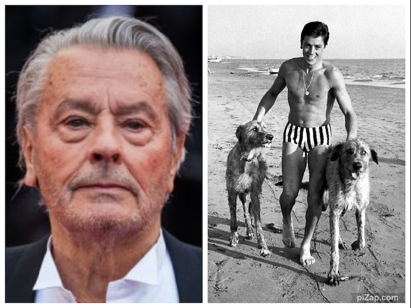 Moartea lui Alain Delon a fost anunțată de câinele său. Viața de film a marelui actor: măcelar ratat, soldat în Indochina, prietenul unor gangsteri odioși. Femeile celebre din viața sa