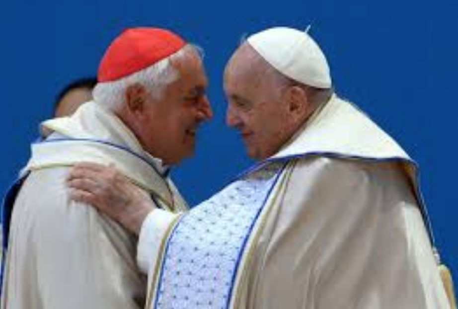 Posibili succesori ai Papei Francisc: 28 de cardinali de pe 4 continente, din Italia în Canada, din Filipine în Africa de Sud