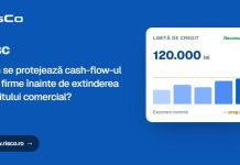 Cum se protejează cash-flow-ul unei firme înainte de extinderea creditului comercial?